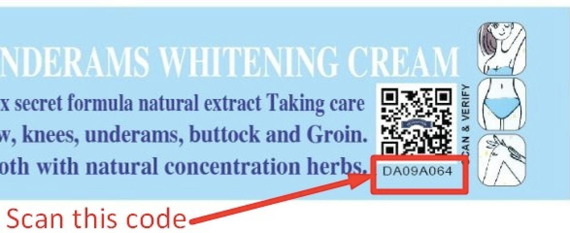 QR Code Guide
